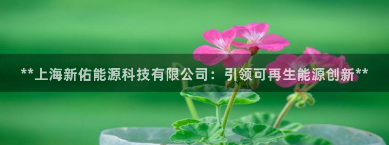 sunbet手机网页版