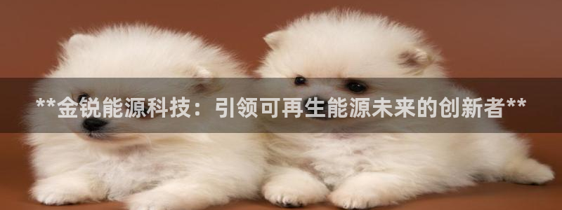 申博官网手机客户端