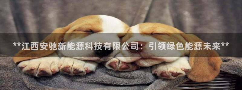 申慱sunbet版app