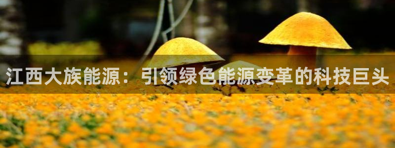 sunbet靠谱吗
