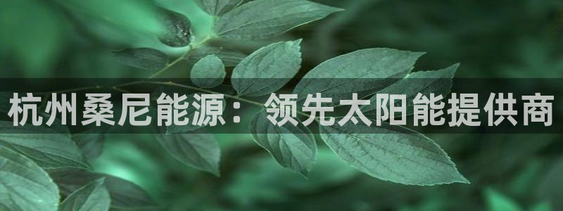 sunbet中国官网