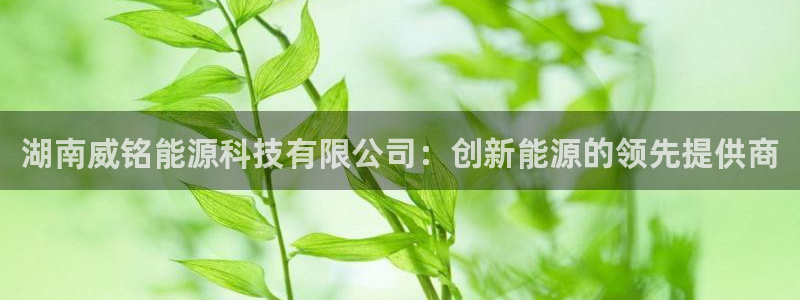 sunbet手机端