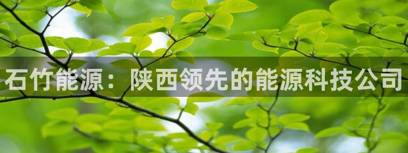 sunbet申搏官网