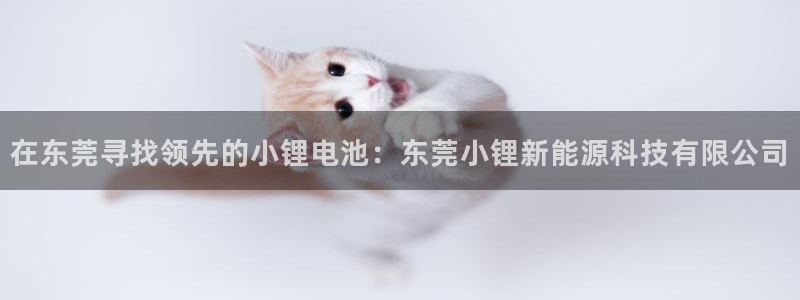 sunbet申搏地址