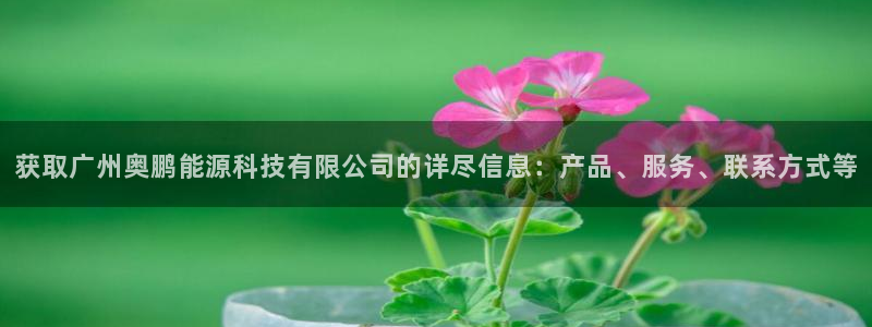 sunbething怎么读