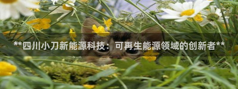 申博官网电脑版下载