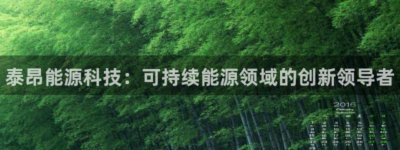 sunbet官网手机版登录
