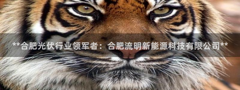 进入sunbet官网手机版登陆
