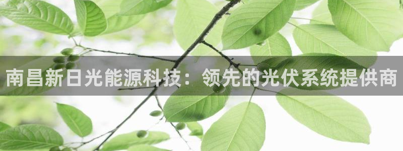 sunbet手机app版