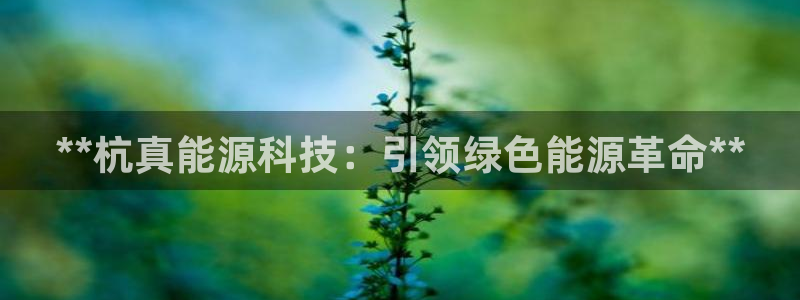 sunbet中文