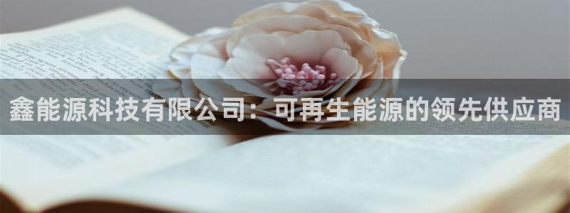 sunbet英语翻译