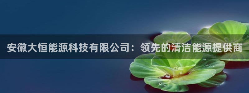sunbet源码