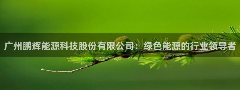 sunbet首页登录入口