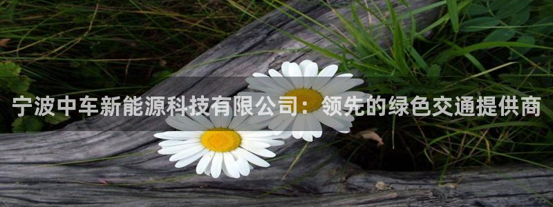 sunbet手机端
