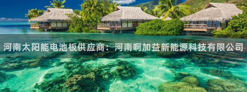 sunbet苹果app