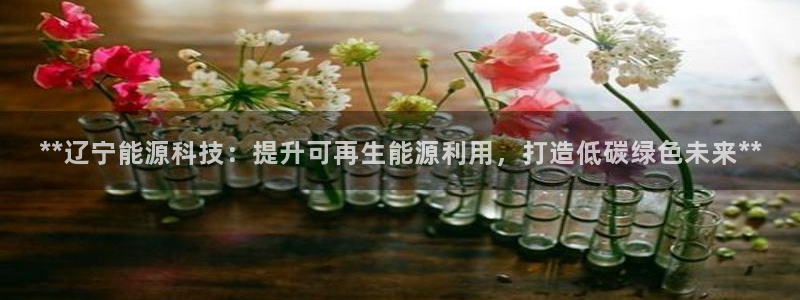 sunbet线上真人手机版