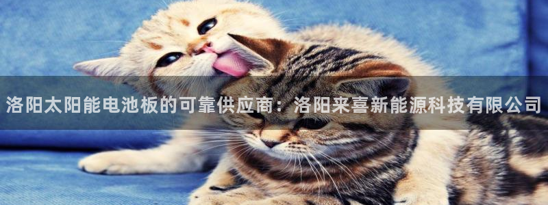 sunbet申搏官方网站