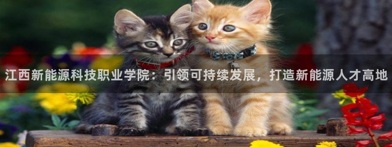 sunbet安卓下载