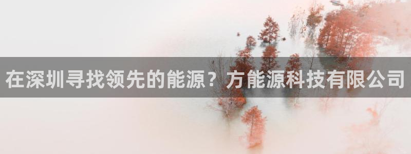 sunbet英语翻译