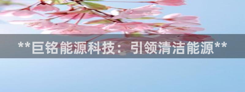 sunbet程序