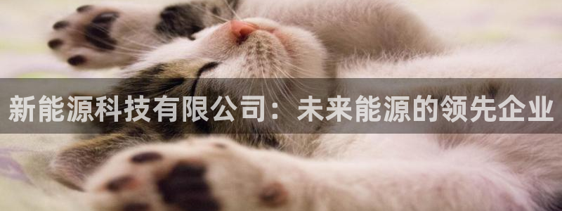 申博手机网站