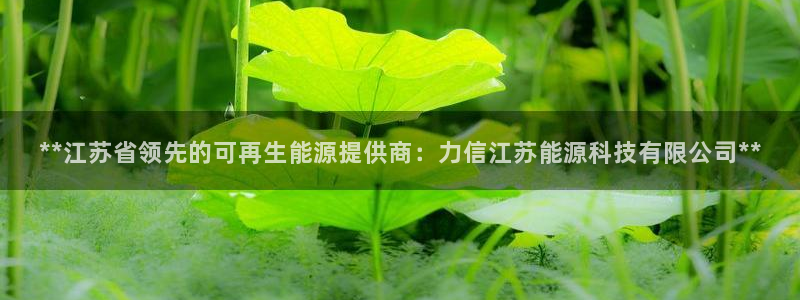 sunbet官网开户登录手机版