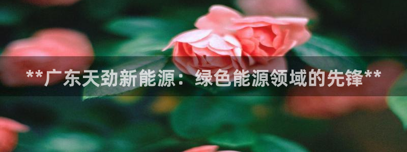 申博官方网站