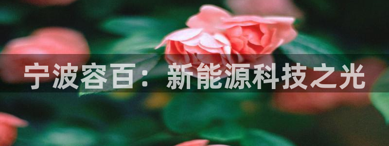 sunbet苹果官网下载