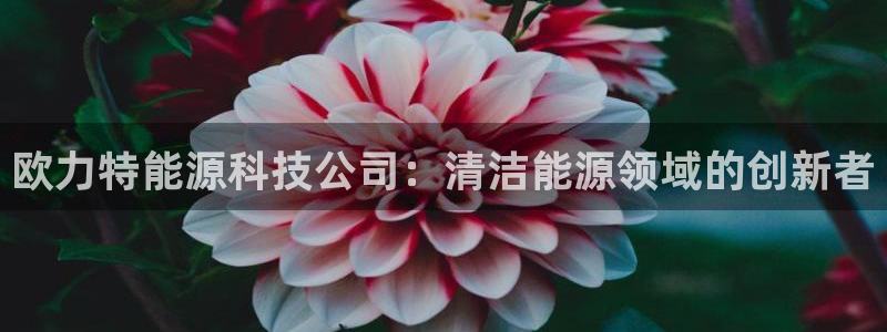 sunbet申搏平台
