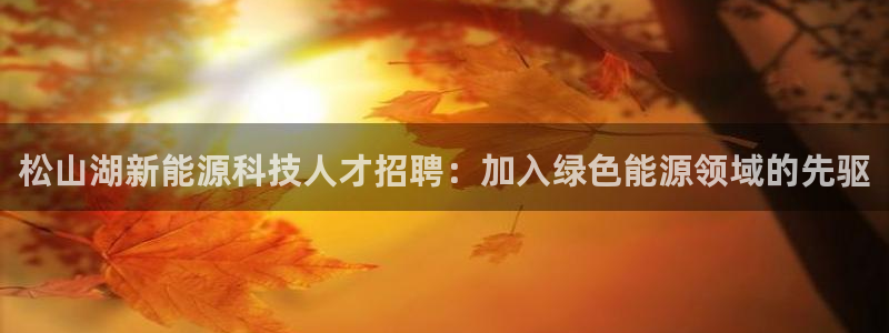 sunbet手机版官网下载