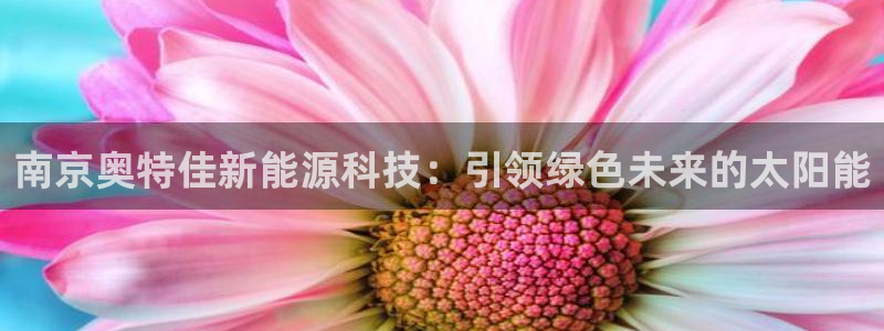 sunbet首页登录入口