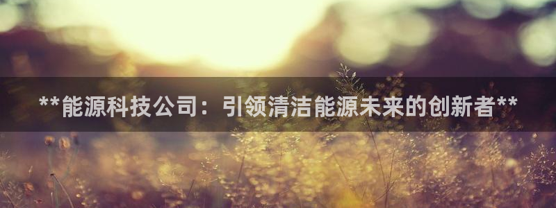 sunbet英语翻译