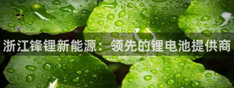 sunbething怎么读