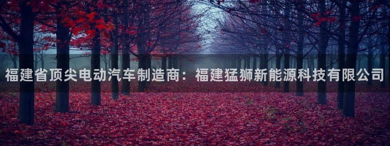 sunbet源码