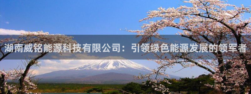 sunbet中文