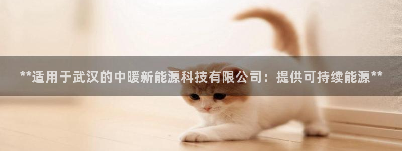 sunbet英语翻译
