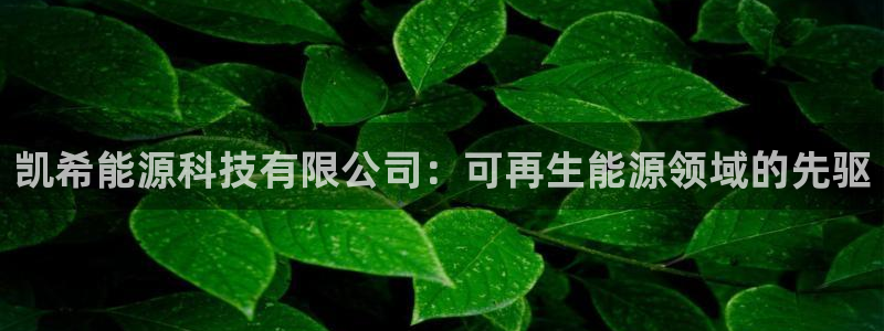 sunbet手机版登录