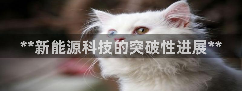 申慱sunbet网站