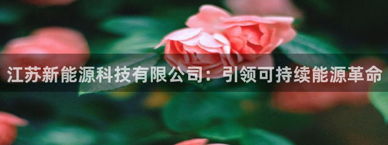 sunbet英语翻译