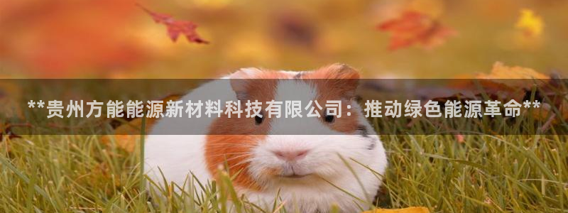 sunbet申搏app下载