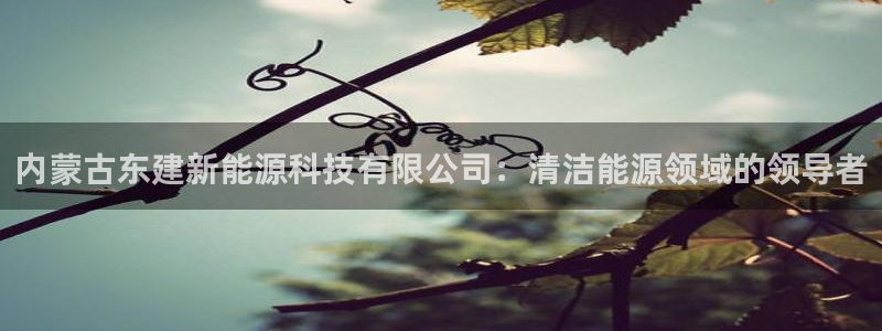 sunbet游戏