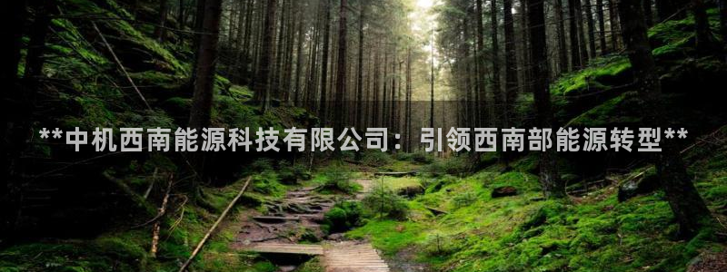 申博视讯