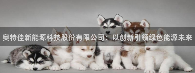 sunbet首页登录入口