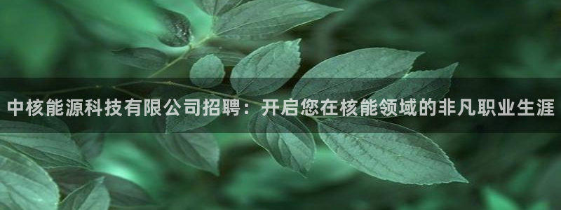 申博app下载