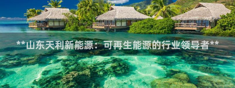 sunbet英语翻译