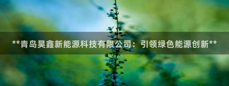 sunbet首页登录入口