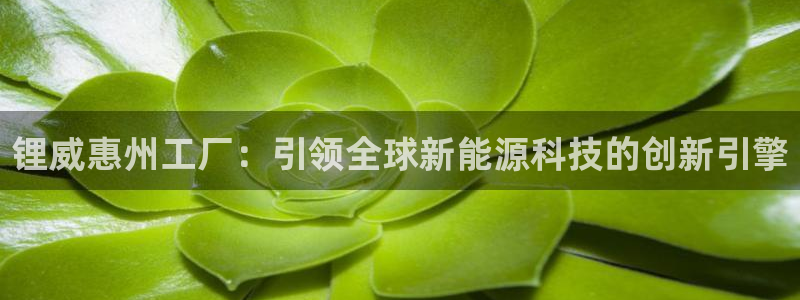 sunbet手机网页版本