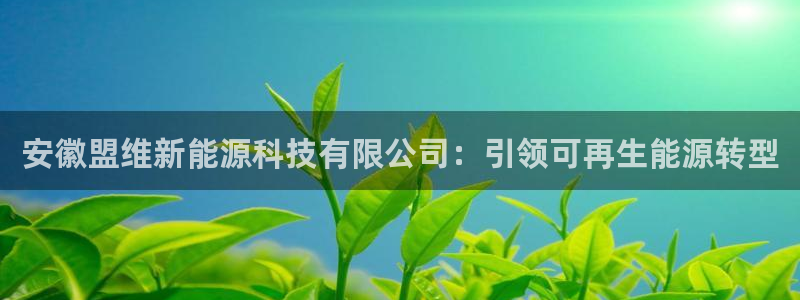 申博视讯