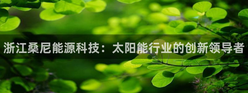 申博官方网站手机版下载