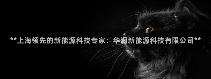sunbet安卓下载